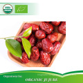 Best-quality Organic Jujube Chinese Date Fruit Red Date Dried in bulk